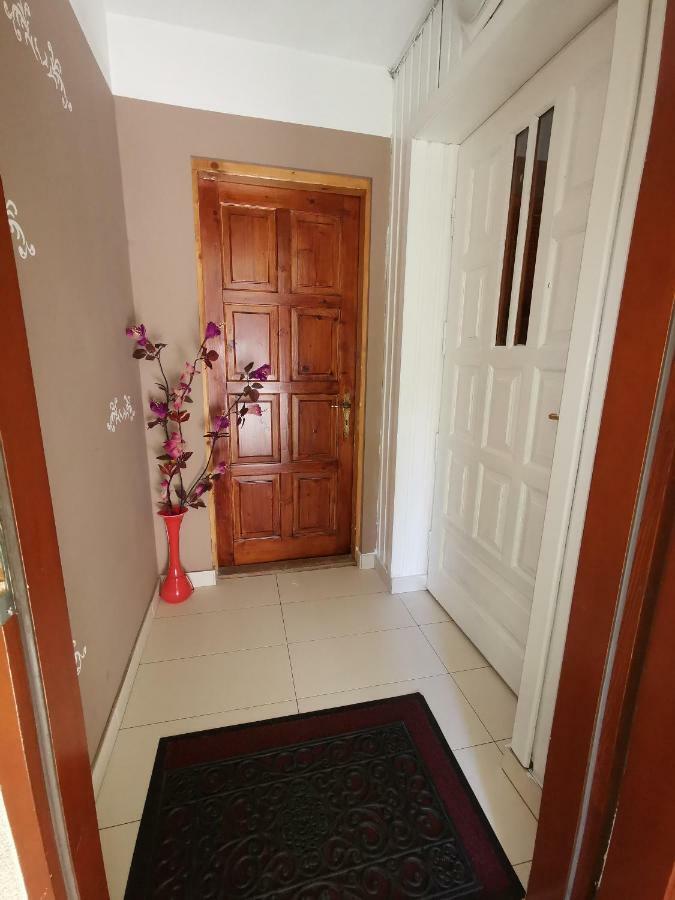 Pokoje Goscinne U Paliderki بورونين المظهر الخارجي الصورة